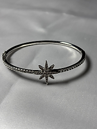 Kutup yıldızı model kelepçe